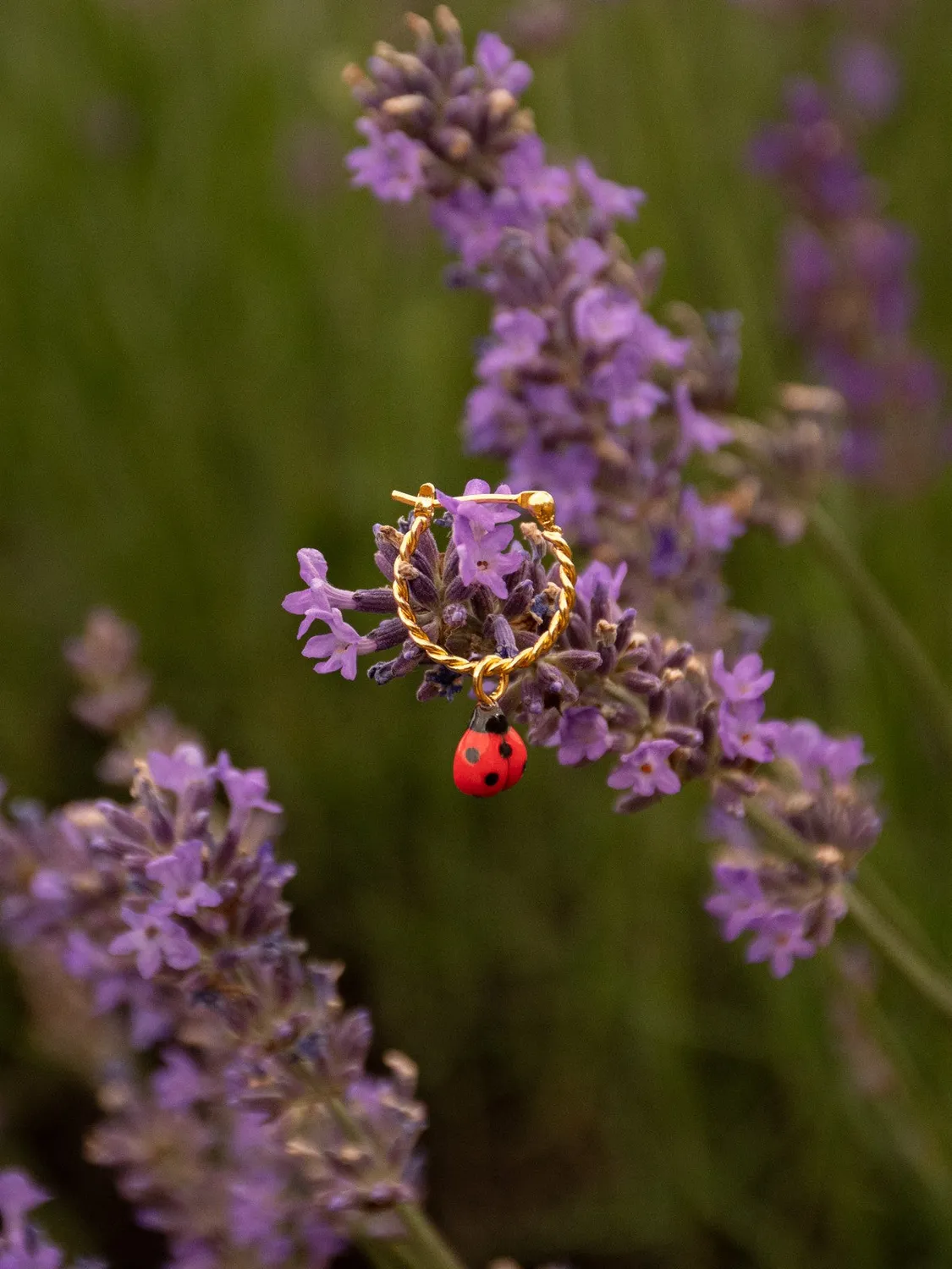 Nach Bijoux mini créole coccinelle boucle unité rouge