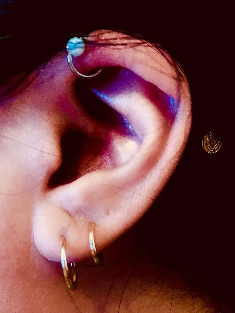 Astrid & Miyu Simple Hoops créoles or massif
