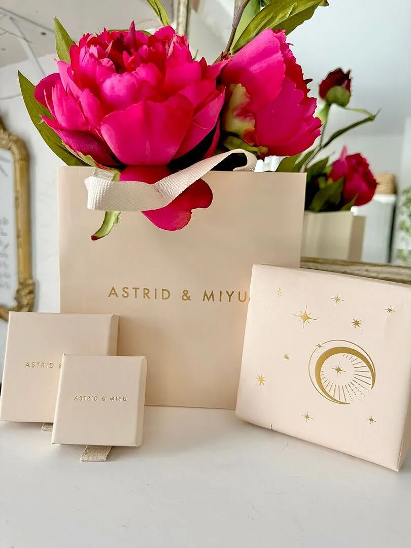 Astrid & Miyu Cosmic Gift Wrap pochette cadeau céleste