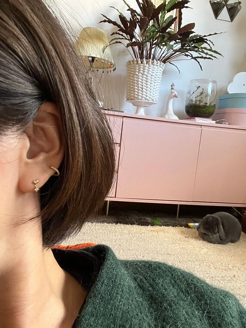 Astrid & Miyu Pavé Seamless 1.2mm piercing or massif