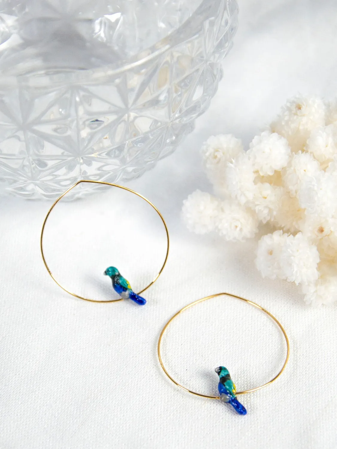 Nach moyennes créoles oiseau tangara boucles d'oreilles bleues