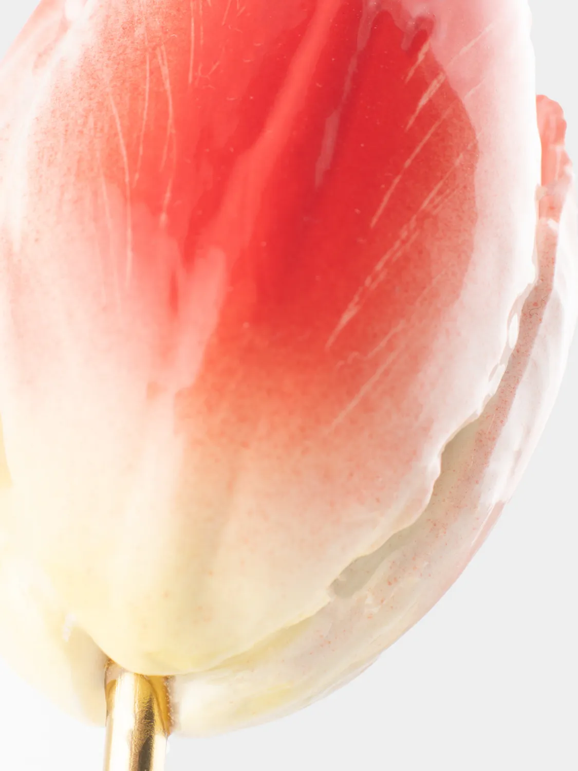 Nach Bijoux Tulipe Éternelle rouge porcelaine numérotée
